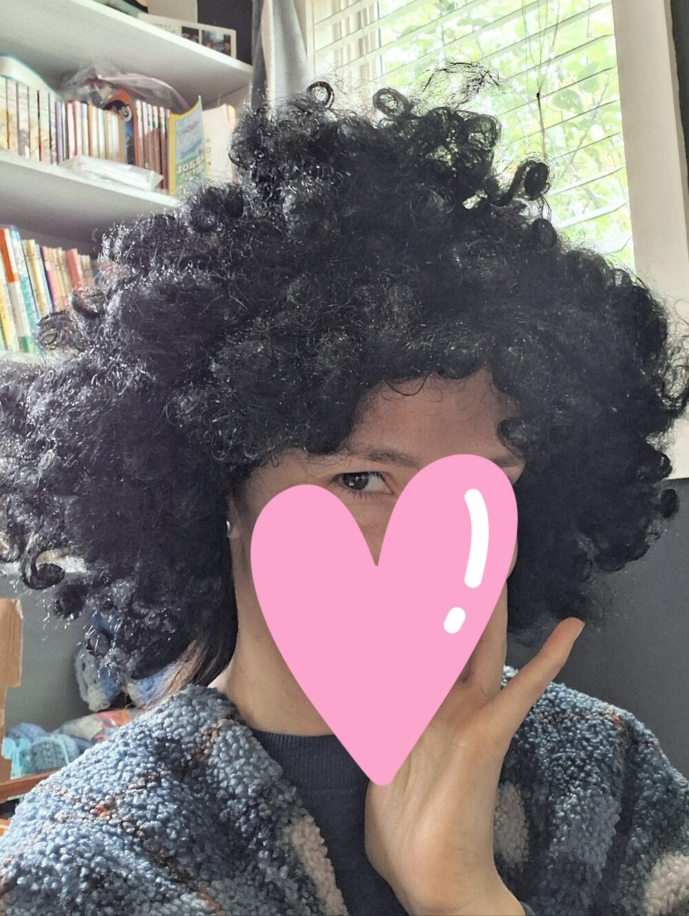 Halloween CostumeBlack Curly Afro Wig- Adult One Size